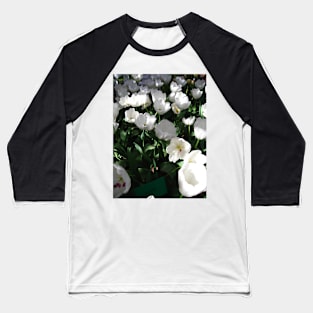 Tulip Time in Canberra Australia 10 Baseball T-Shirt